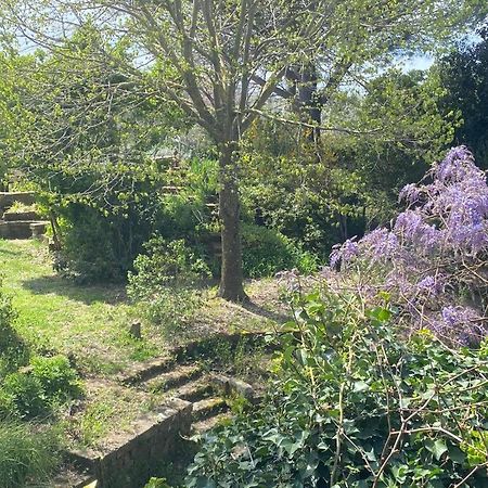 Agriturismo Solidor ปีติญาโน ภายนอก รูปภาพ