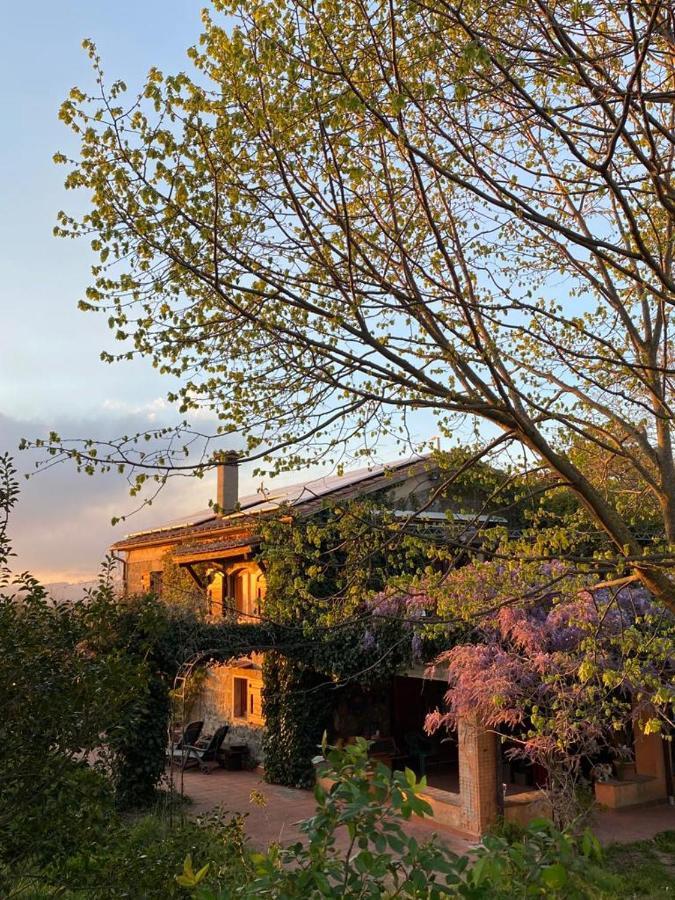 Agriturismo Solidor ปีติญาโน ภายนอก รูปภาพ