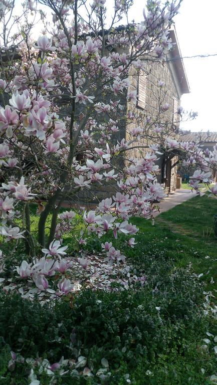Agriturismo Solidor ปีติญาโน ภายนอก รูปภาพ