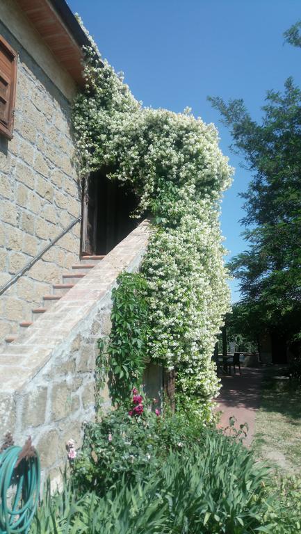 Agriturismo Solidor ปีติญาโน ภายนอก รูปภาพ